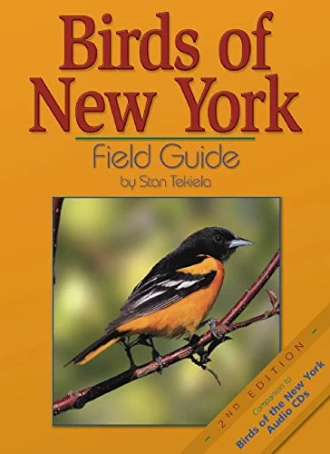 americanbookwarehouse8-3050597