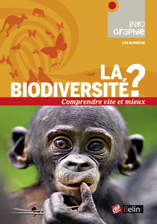 antoineonline7-1595406